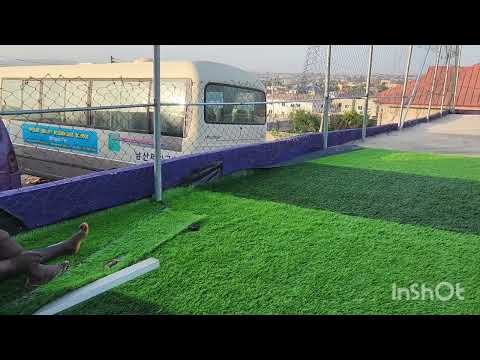 Check out our beautiful Astroturf for the kids