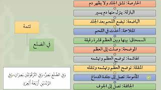 صورة 18شرح عمدة الفقه  الشجاج وغيرها  عامر بهجت