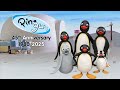Pingu S 45th Anniversary Coming Soon On October 28
