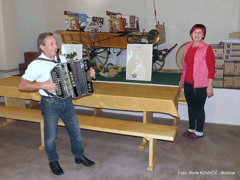 Brane Mešl - S harmoniko na rajžo (v živo)