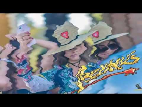 Abelvolks 2021 House   A Melhor de Todas   Neumodel Num1