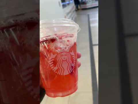 Família de Cruzmaltina conta experiência de enviar filho ao Canadá em programa de intercâmbio