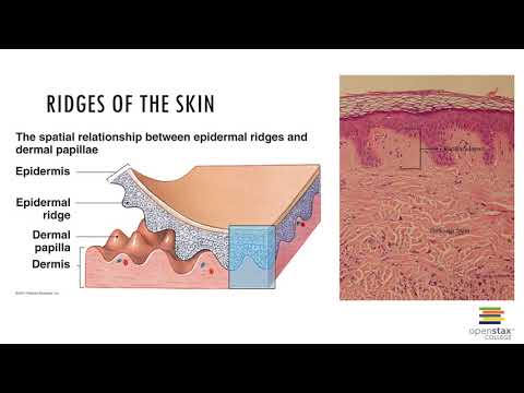 Chapter 5 Recorded Lecture