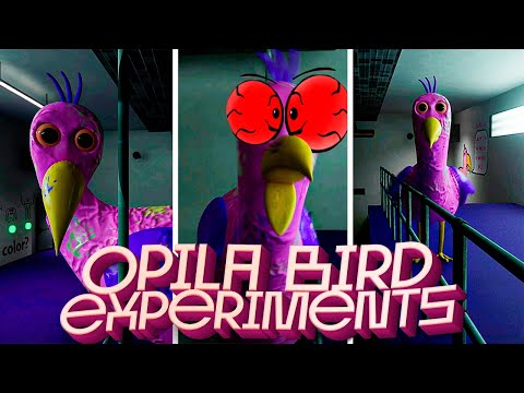 Completely BROKE Opila Bird - EXPERIMENTS in GARTEN OF BANBAN