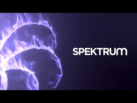 Spektrum arculat 2020. december - 2021. január