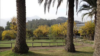 ANA GABRIEL   ---   QUE MANERA DE PERDER