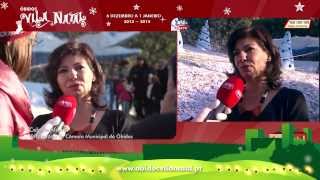 preview picture of video 'SIC em direto no Obidos Vila Natal 2013 - Celeste Afonso'