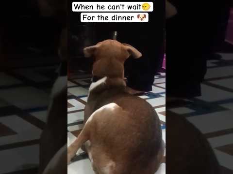 when !!duguu !! feel hunger 🫣his expression patience😱🫢#love #ytshorts