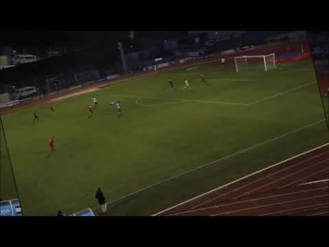 Le Puy Foot 43 - FC Mulhouse du 25 fevrier 2017