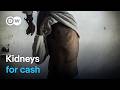 The Global Organ Trafficking Network DW Documentary