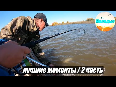 Фото Топ лучших моментов на рыбалке/ 2 часть/ 1 год каналу!