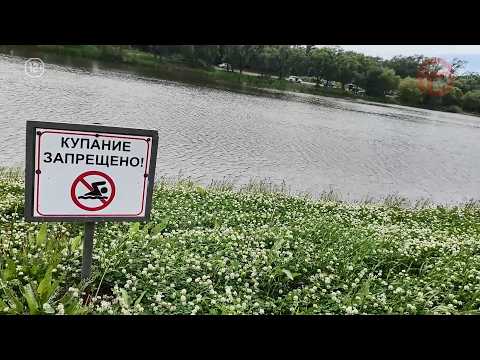 🛟 Безопасность у воды