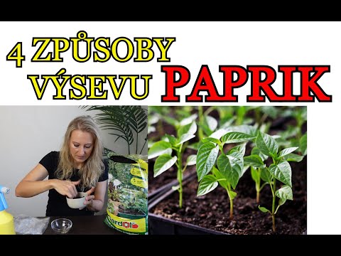 PAPRIKY | 4 ZPŮSOBY VÝSEVU PAPRIK | Srovnání metod výsevu - Která je nejlepší?