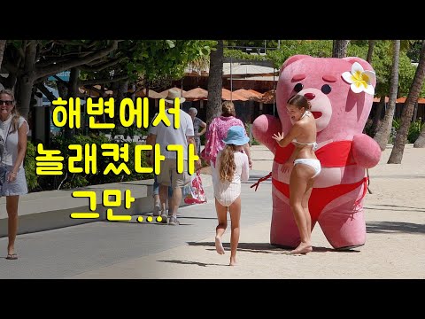 미국 하와이에서 비키니 입고 안아 달라고 한다면?