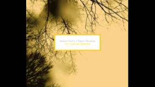 Savvas Ysatis + Taylor Deupree - Listen To The Morning Sleeping