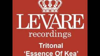 Tritonal - Essence Of Kea (Tritonal Air Up There Dub Mix) [HQ]