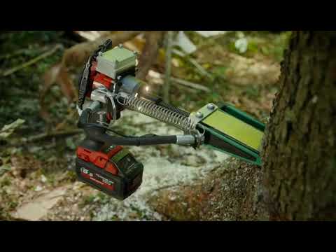 TargetQuick - Schnell & präzise Bäume fällen - BaSt-Ing