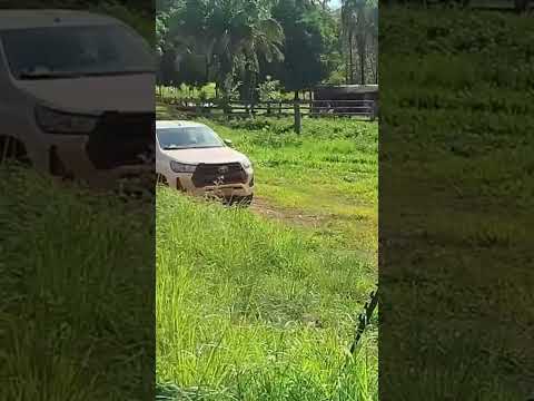 FAZENDA A VENDA NO MUNICÍPIO DE ARENÓPOLIS NO ESTADO DE GOIÁS