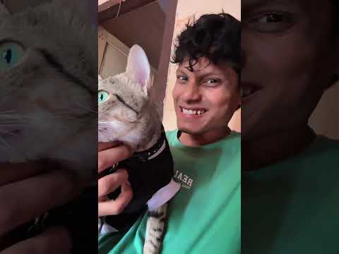 Angry￼ Shyam😡😂