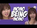 10 MINUTES OF MOMO BEING CLUMSY (OR SOMETHING)