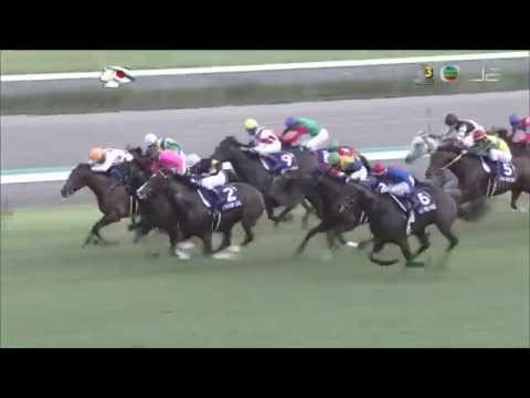 2015 短途馬錦標 Sprinters Stakes 真誠少女 Straight Girl ストレイトガール
