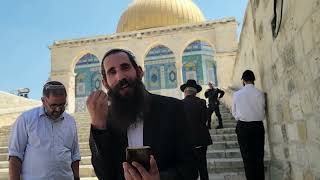 מה עושים כשיש ספק בהלכה? התשובה שלא ציפיתם לה מפורשת בתורה! | הרב אלישע וולפסון (ישיבת הר הבית) - התמונה מוצגת ישירות מתוך אתר האינטרנט יוטיוב. זכויות היוצרים בתמונה שייכות ליוצרה. קישור קרדיט למקור התוכן נמצא בתוך דף הסרטון מה עושים כשיש ספק בהלכה? התשובה שלא ציפיתם לה מפורשת בתורה! | הרב אלישע וולפסון (ישיבת הר הבית) - התמונה מוצגת ישירות מתוך אתר האינטרנט יוטיוב. זכויות היוצרים בתמונה שייכות ליוצרה. קישור קרדיט למקור התוכן נמצא בתוך דף הסרטון