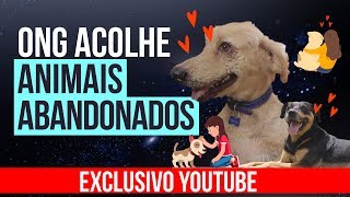 Miniatura do vídeo