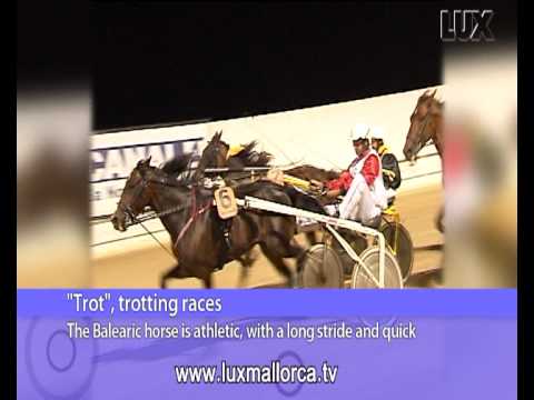 El "trot", trotting races | LUX MALLORCA