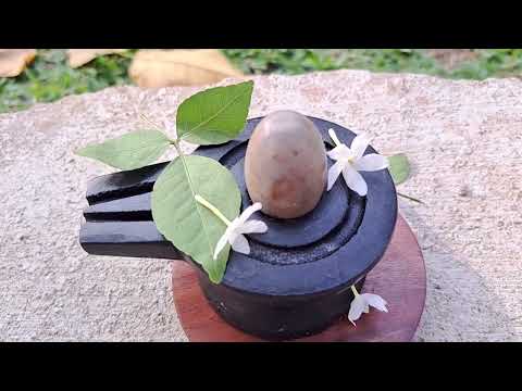 Shivalingam with Black Jaldhari for Home Pooja Temple video