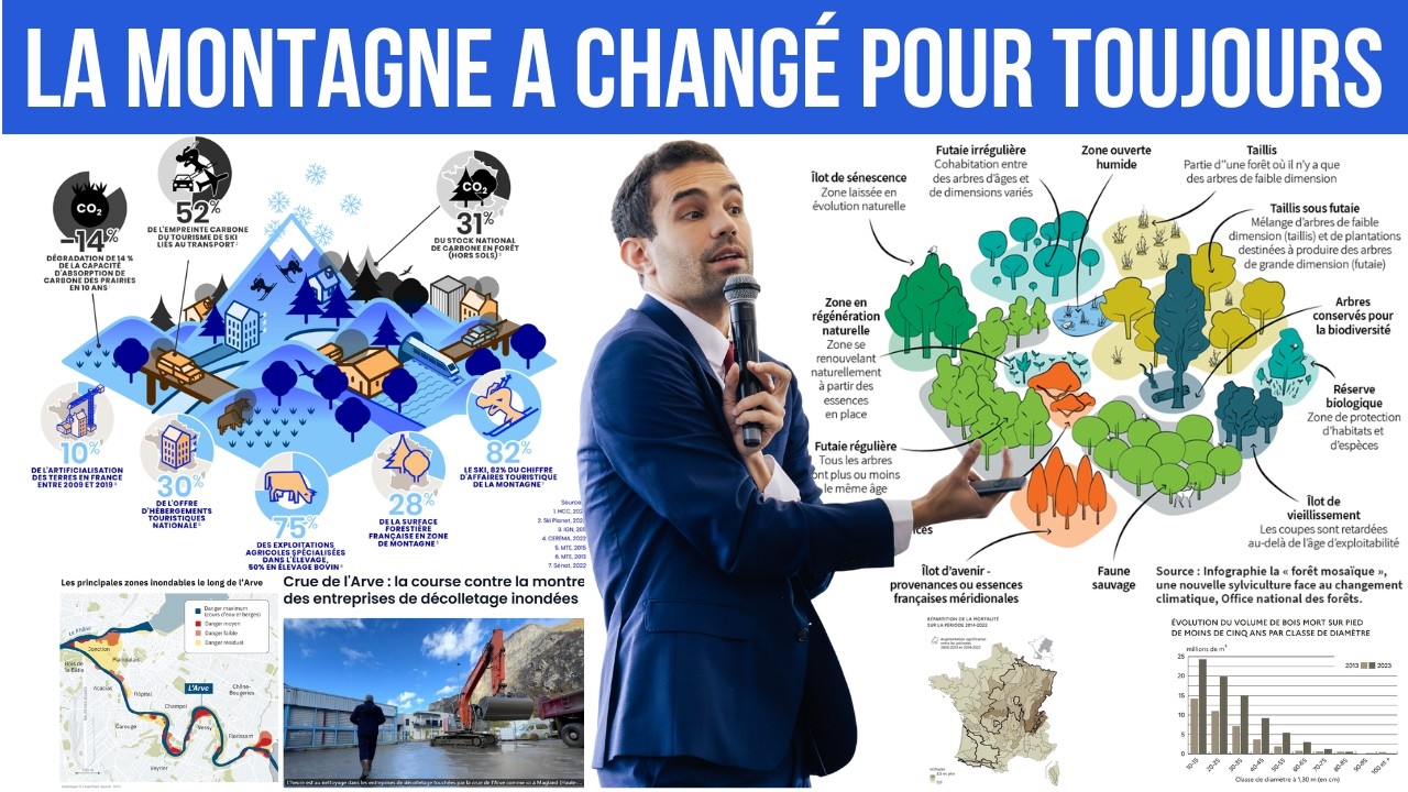 La montagne et la forêt sont détruites par le même ennemi