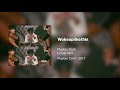 Playboi Carti Wokeuplikethis Ft Lil Uzi Vert 432hz