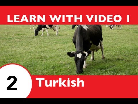 Learn Turkish with Video - Learning Turkish Vocabulary for Farm Animals Has Never Been More Fun!
