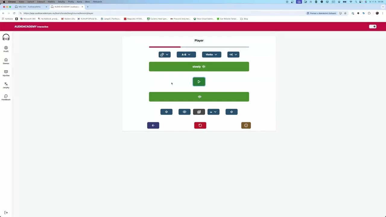 Audioacademy Interactive