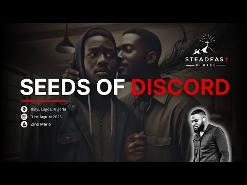SEEDS OF DISCORD - Teaching by Zino Mario