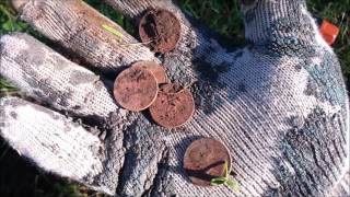 Metal Detecting Las Lomas Park in La Habra, CA Veteran's Day 2015