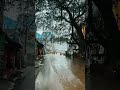 Anbare Song WhatsApp Status Trending Shorts Travel Funnyvideo Vadivelu Rain Feeling Sadsongs
