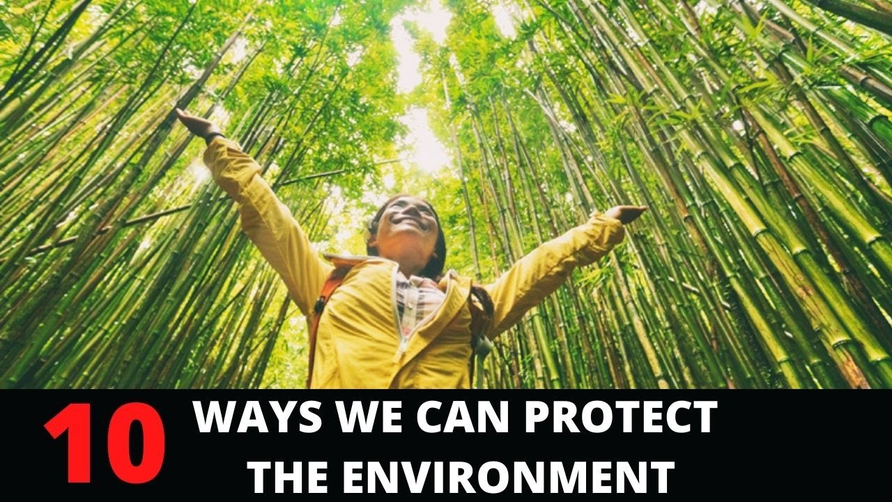 Top 10 Ways You can Protect the Environment - How to save environment from pollution? 2022