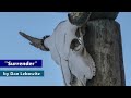 SURRENDER By DAN LEBOWITZ WESTERN YOUTUBE AUDIO LIBRARY
