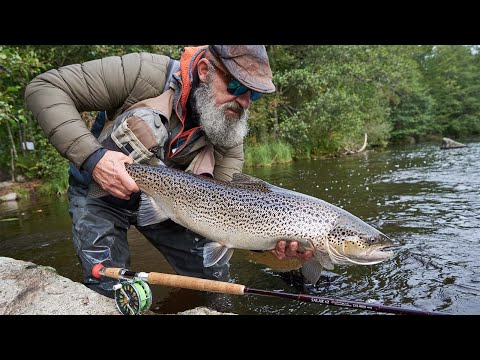 Kungsådran 2020 – Technical Fishing & Big Sea Trout