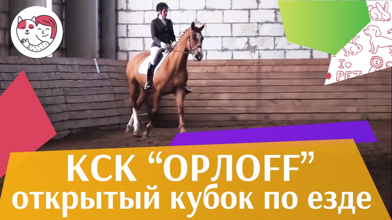 Открытый кубок КСК Орлоff Выездка 1 на ilikepet