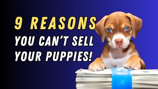 9 reasons you can’t sell your puppies!