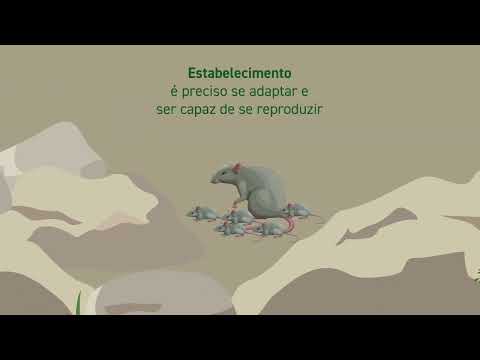 Manejo de Espécies Exóticas Invasoras (EEI)