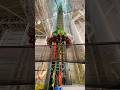 Skyline Scream At Nickelodeon Universe Shorts