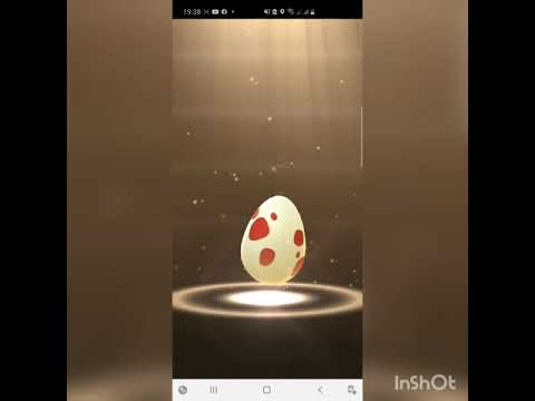 Chocando 24 ovos de 12 km no Pokemon Go, em busca do Sandile!