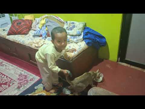 Catching the cat by its tail