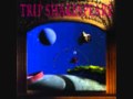 Trip Shakespeare-Turtledove