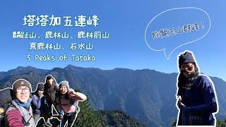 塔塔加五連峰－差點被獼猴搶食、掉進結冰池塘裡、空拍看玉山群峰