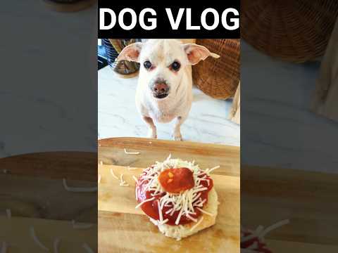 My Dog Makes Pizza 🍕🐶 #DogVlog #FunnyShorts