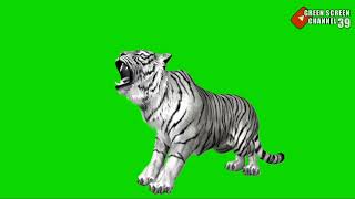 Download lagu green screen harimau @green screen channel39 mp3