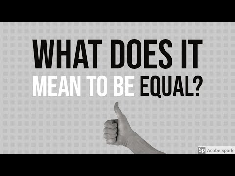 What Does it Mean to be Equal?